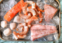 Frozen Fish And Seafood Bulk Import Export