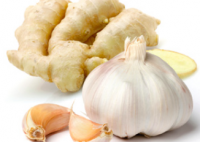 Dried Ginger Wholesale Supplier Export Quality