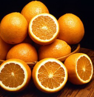 Fresh Oranges Wholesale Supplier Export Quality