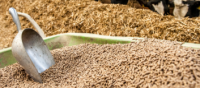 Animal Feed Wholesale Supplier Export Quality
