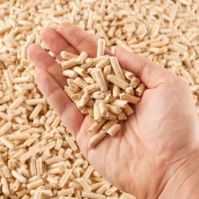 Renewable Biomass Wood Pellets For Industrial