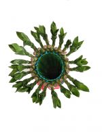 Fengshui Lun lucky bamboo natural evergreen ornamental plants