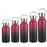 Double Layer Stainless Steel Insulated Cup