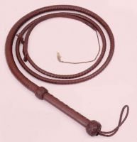 Bull Whip