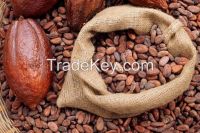 Export Grade Cocoa Beans from Nigeria & Cameroon