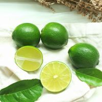 Vietnam Seedless Lime For Export â€“ High