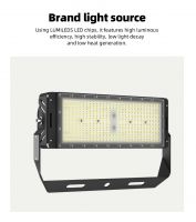 MODULES TYPE LED FLOOD LIGHT  250