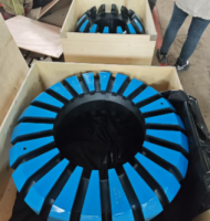 Rongsheng BOP Ram Assembly, VBR 2