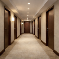 Wooden Doors Manufacturer for Interior, Apartment and Project Use