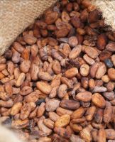 Cocoa beans, fermented and dried, F2 grade