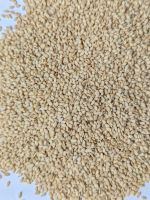 Natural White Sesame Seeds