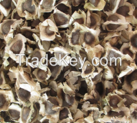 Moringa Seed