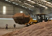 Palm Kernel Expeller