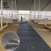 Cow Stall Matting Cow Mattresses Cow