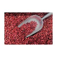 High quality red kidney beans prepared for export grade trade and large volume orders