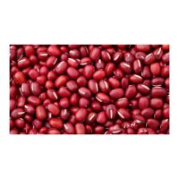 Reliable red kidney beans stocked 