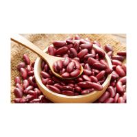 Premium grade red kidney beans supplied 
