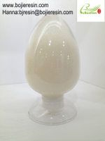 Strong Basic Anion Exchange Resin