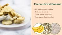 Freeze Dried Fruits Freeze-dried Banana