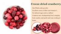 Freeze Dried Fruits Freeze-dried Cranberry