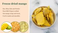Freeze Dried Fruits Freeze-dried Mango