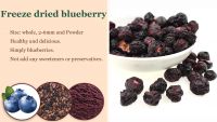 Freeze Dried Fruits Freeze-dried Blueberry