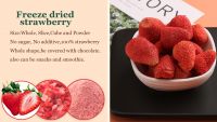 Freeze Dried Fruits Freeze-dried Strawberries