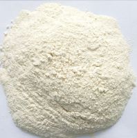 Garlic Powder Flavorful Garlic Powder Good Price