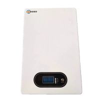 YJ LITHIUM IRON PHOSPHATE BATTERY PACK 242001/48100