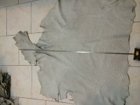 Ostrich Leather
