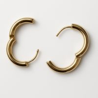 Surgical Steel Hinged Sleeper Earrings Hoops