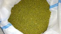 Green mung beans
