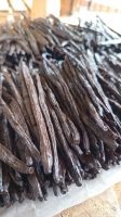 Premium Uganda Vanilla Beans &acirc;�� Gourmet A Grade &acirc;�� Bulk Supply / Limited offer available.