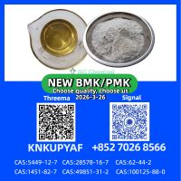 High Purity PM.K CAS 28578-16-7| Reliable Supplier & Fast Delivery 