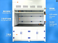 All Steel Chemical Resistant Fume Hood for School &amp; Hospital Laboratory
