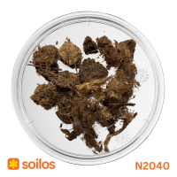 Natural Baltic Sphagnum Peat, Multiple Fractions, Container Export