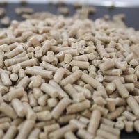 Vital Wheat Gluten