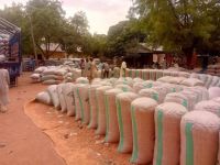 White Sesame Seed 98% Cleaned