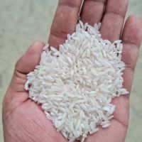 Long grain white rice 5-50%