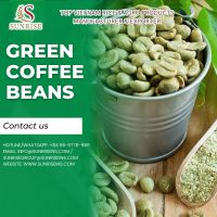 Green coffee beans ( Arabica/ Robusta)