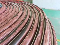 Durable Rubber Handrail for Otis 800 Series Escalators &amp; Elevators - Custom Sizes Available for Middle East Market