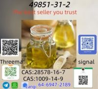 Best Price CAS 28578-16-7