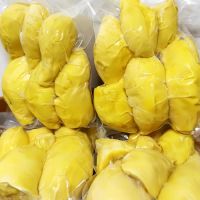 Frozen Durian Monthong Meat 