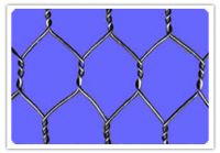 Hexagonal mesh