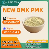 CAS 5449-12-7 BMK Sodium Glycidate Direct Factory Supply