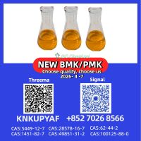 P.m.k 28578-16-7