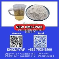 CAS PMK 28578-16-7 + BM