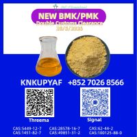 CAS 28578-16-7 PMK Ethyl