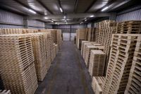 Wooden Pallet
