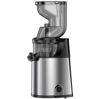 250W Stainless Steel Slow Cold Press